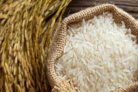 خرید انواع برنج پرمحصول