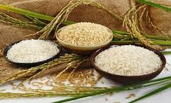 فروش برنج با قیمت مناسب و رقابتی