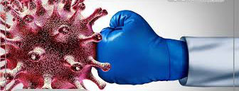 خواص ماش برای تقویت سیستم ایمنی