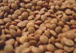  مصرف عدس و بهبود فعالیت الکترولیتی