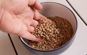  مصرف عدس و  ترمیم سلول‌های بدن