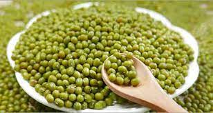 خواص ماش برای دیابت