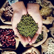 ماش ضد سرطان پوست