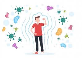 مصرف لوبیا چیتی و بهبود سیستم ایمنی