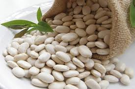 فایده و خواص لوبیا سفید برای خانم های باردار