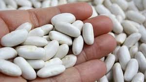 خرید لوبیا سفید با قیمت مناسب