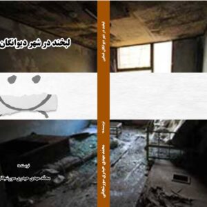 کتاب لبخند در شهر دیوانگان