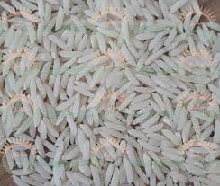 ایا برنج عنبر بو تراریخته است ؟