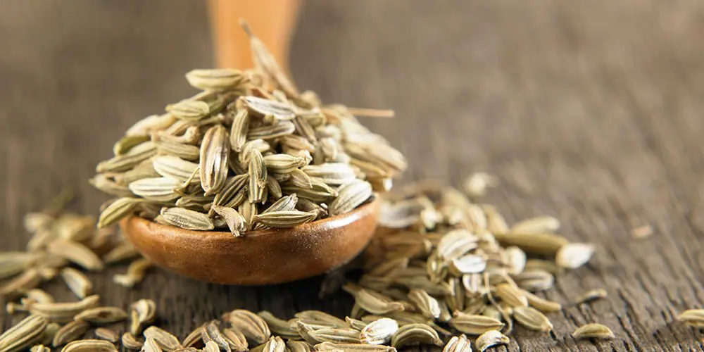 ارزش غذایی زیره سبز