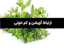 خواص آویشن برای پیشگیری و درمان کم خونی