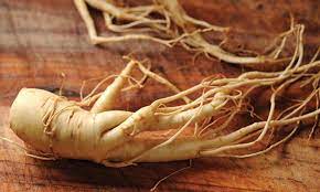 باباآدم، گیاهی با خواص درمانی بالا