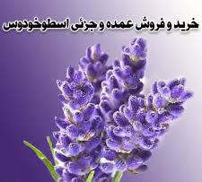 فروش عمده و جزئی اسطوخودوس 