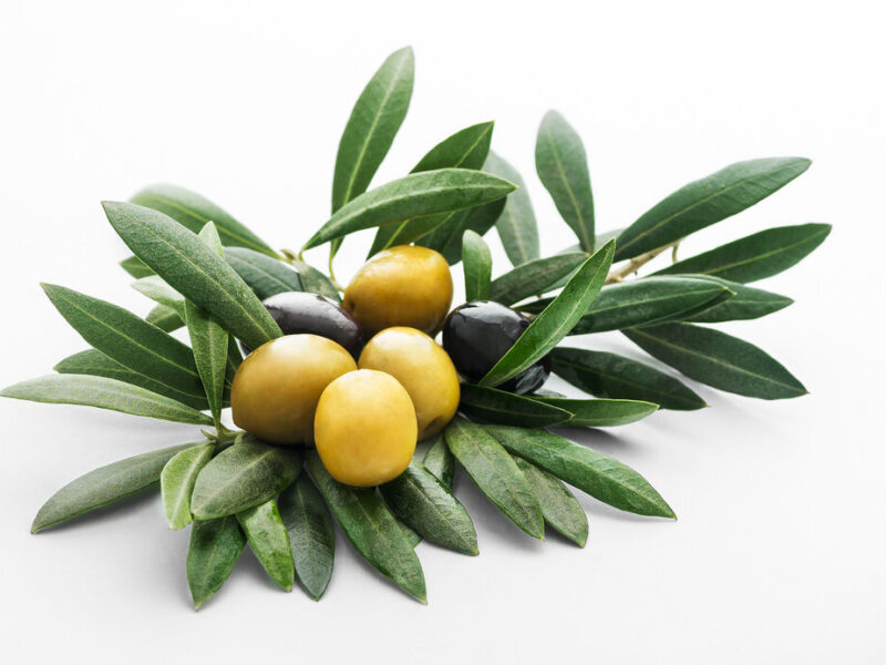 تداخل دارویی عرق برگ زیتون