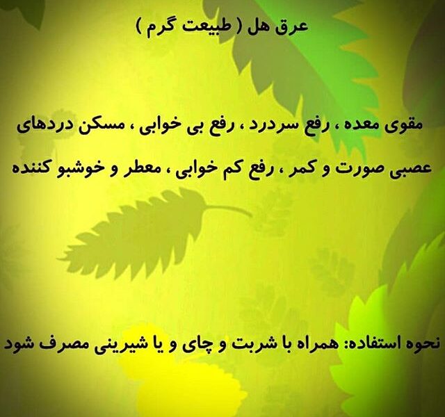 عرق هل، کمک به هضم و گوارش غذا