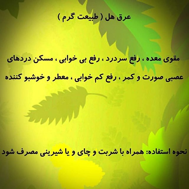 عرق هل، کمک به هضم و گوارش غذا