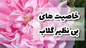 گلاب، موثر در تقویت مغز و پیشگیری از ابتلا به آلزایمر