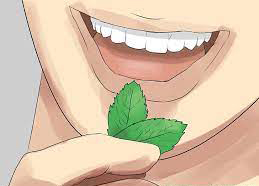عرق نعنا و خوشبو کردن دهان