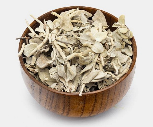 گیاه پولک برای چی خوبه ؟