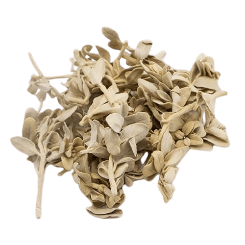 عرق پولک مفید برای بانوان