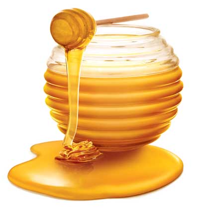  عسل زیرفون