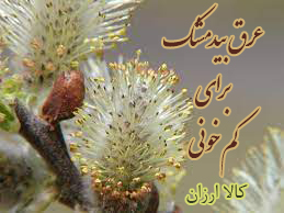 خواص عرق بیدمشک برای کمخونی