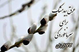 بیدمشک برای سرماخوردگی