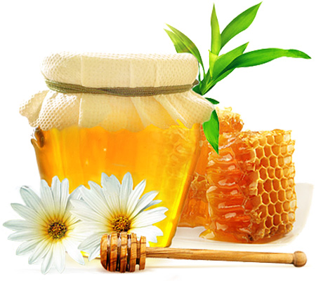 ترکیبات عسل زیرفون