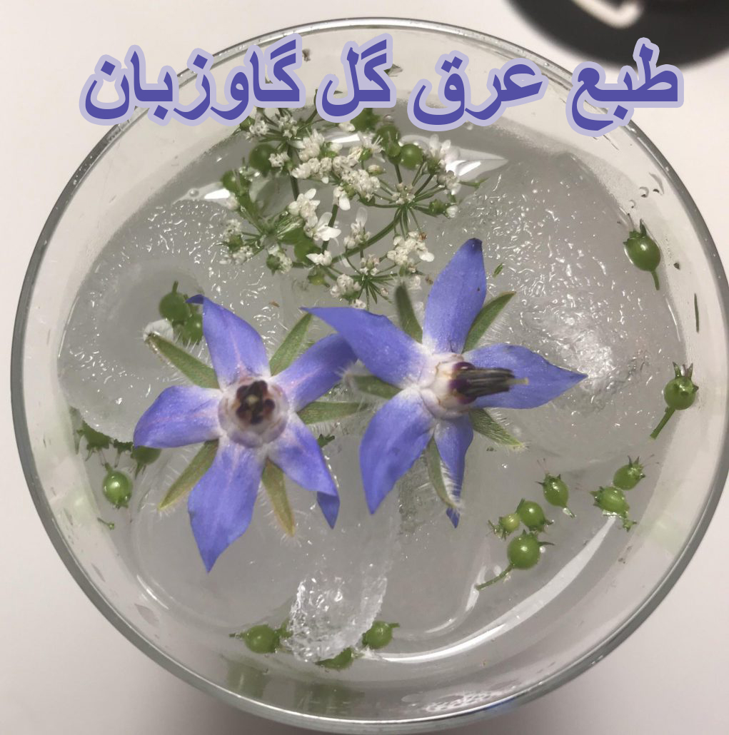 طبع عرق گل گاوزبان