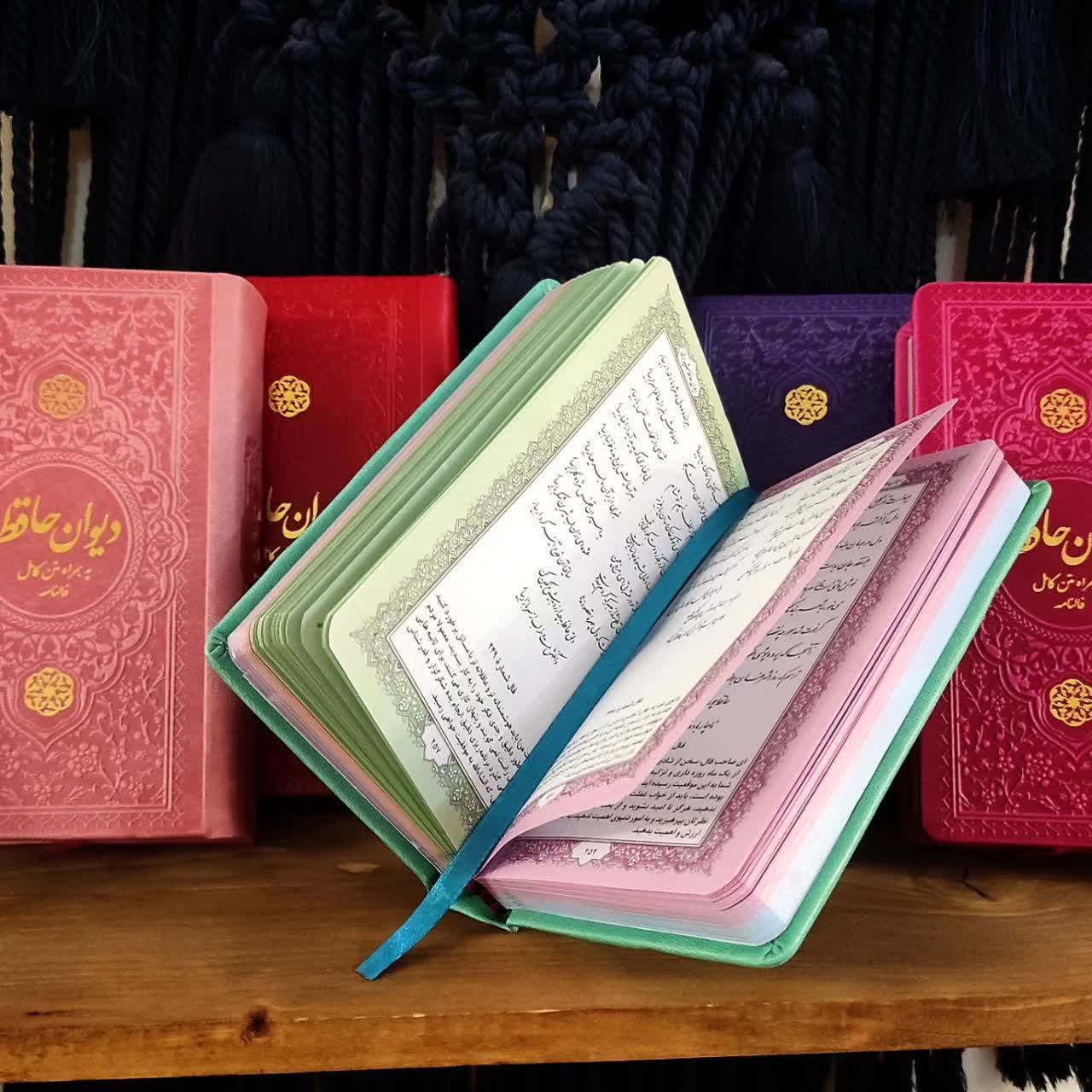 حافظ پالتویی رنگی - Image 3