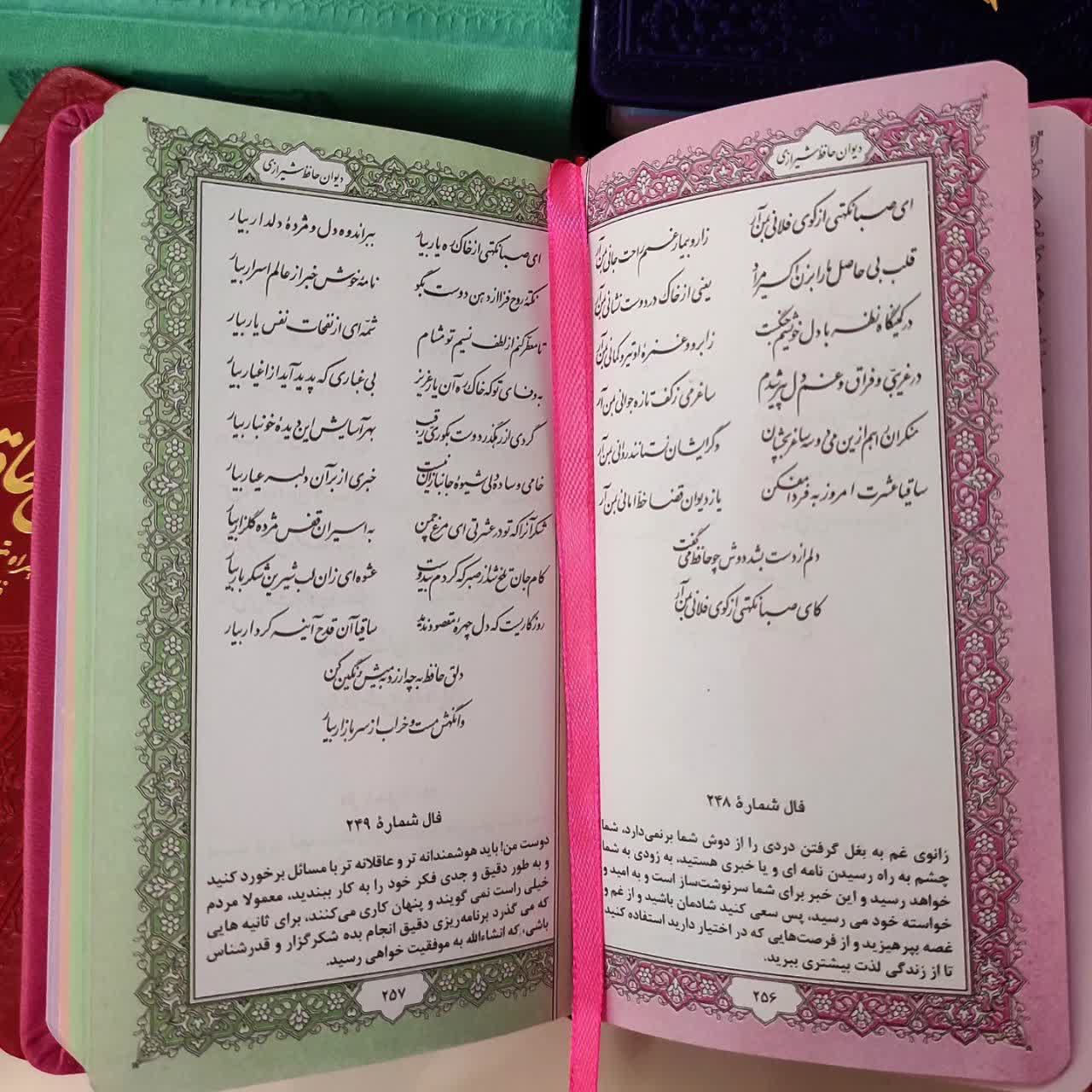 حافظ پالتویی رنگی - Image 2