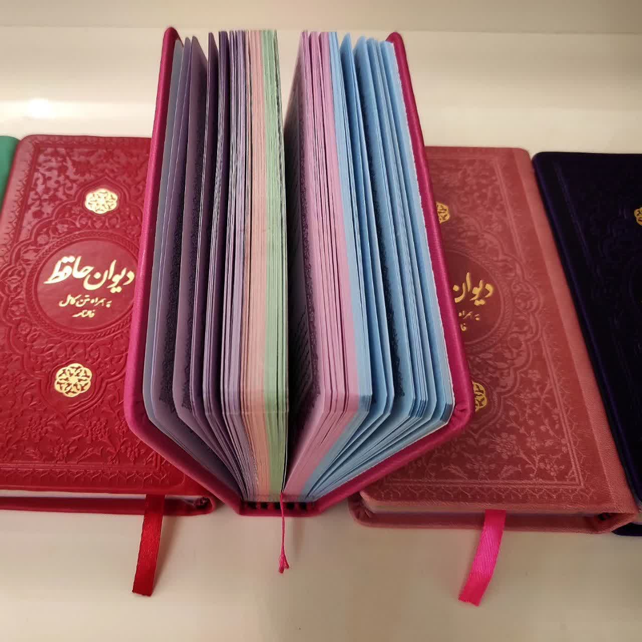 حافظ پالتویی رنگی