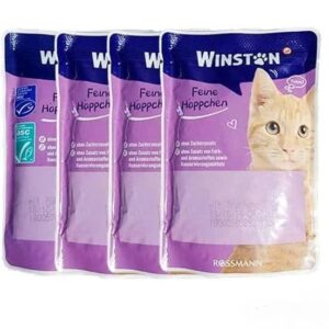 پوچ وینستون گربه