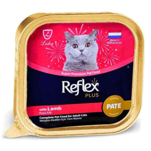 ووم رفلکس گربه هلندی